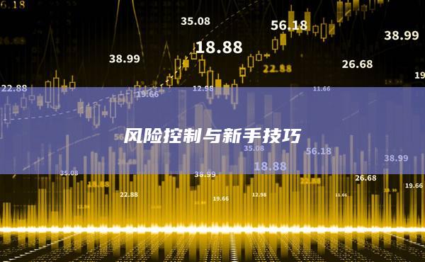 風險控制與新手技巧
